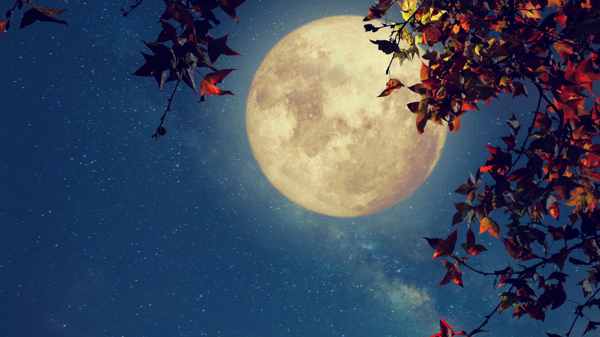 Wielka prognoza astrologiczna na wrzesień 2023