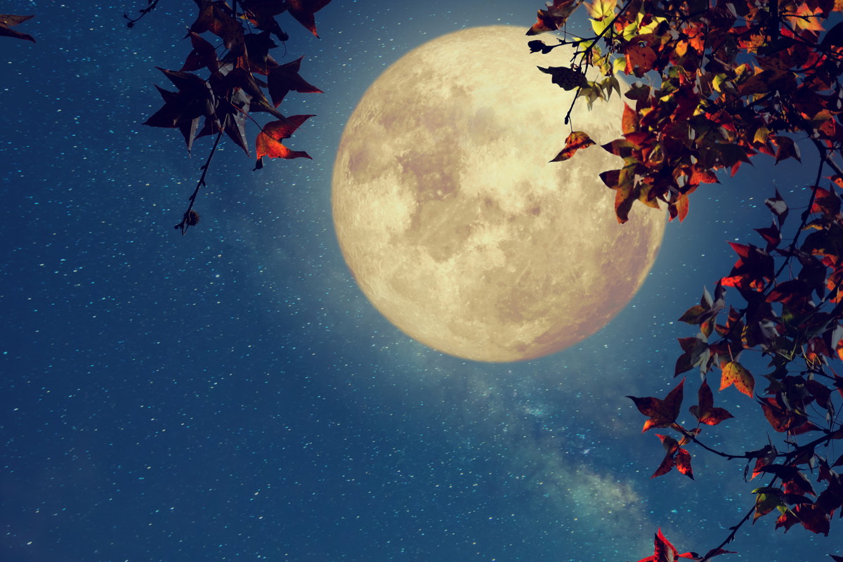 Wielka prognoza astrologiczna na wrzesień 2023