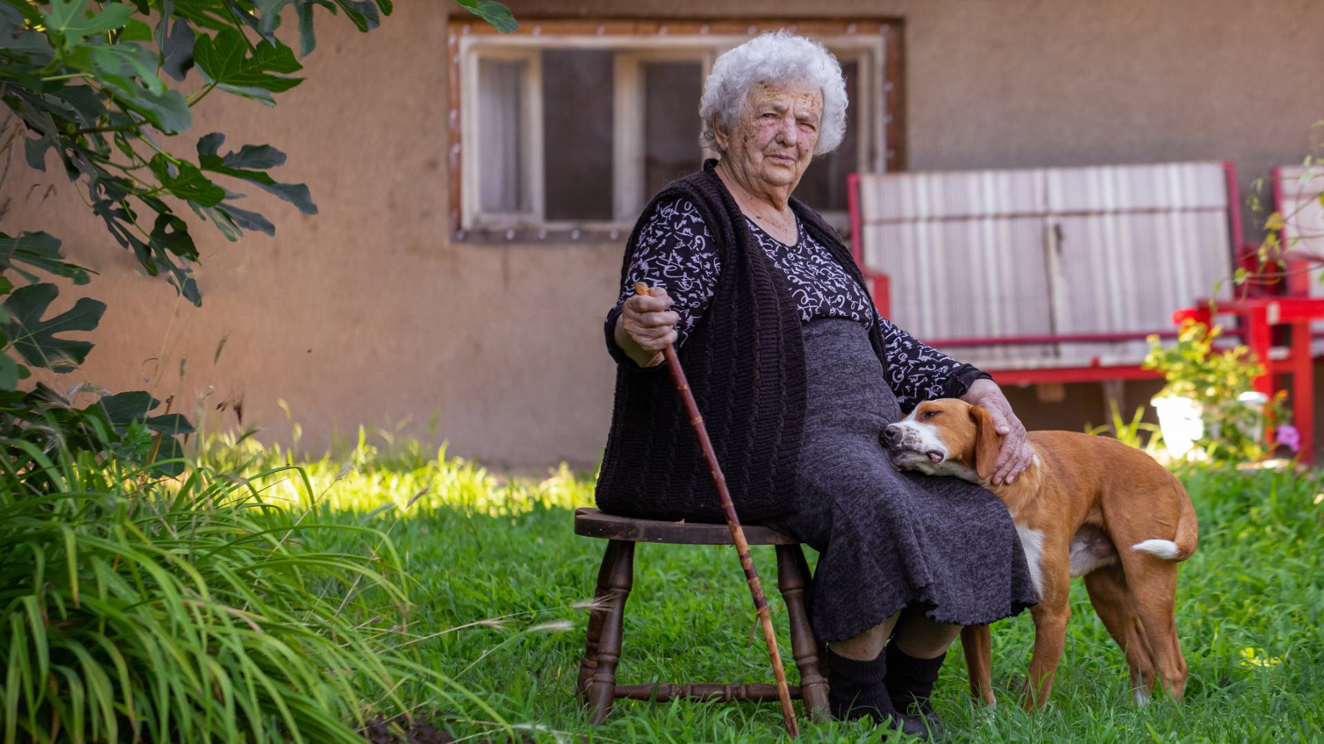 Babcia z Mazur wskazuj, jaki zapach zwiastuje życiowy przełom. Ale jest 1 haczyk