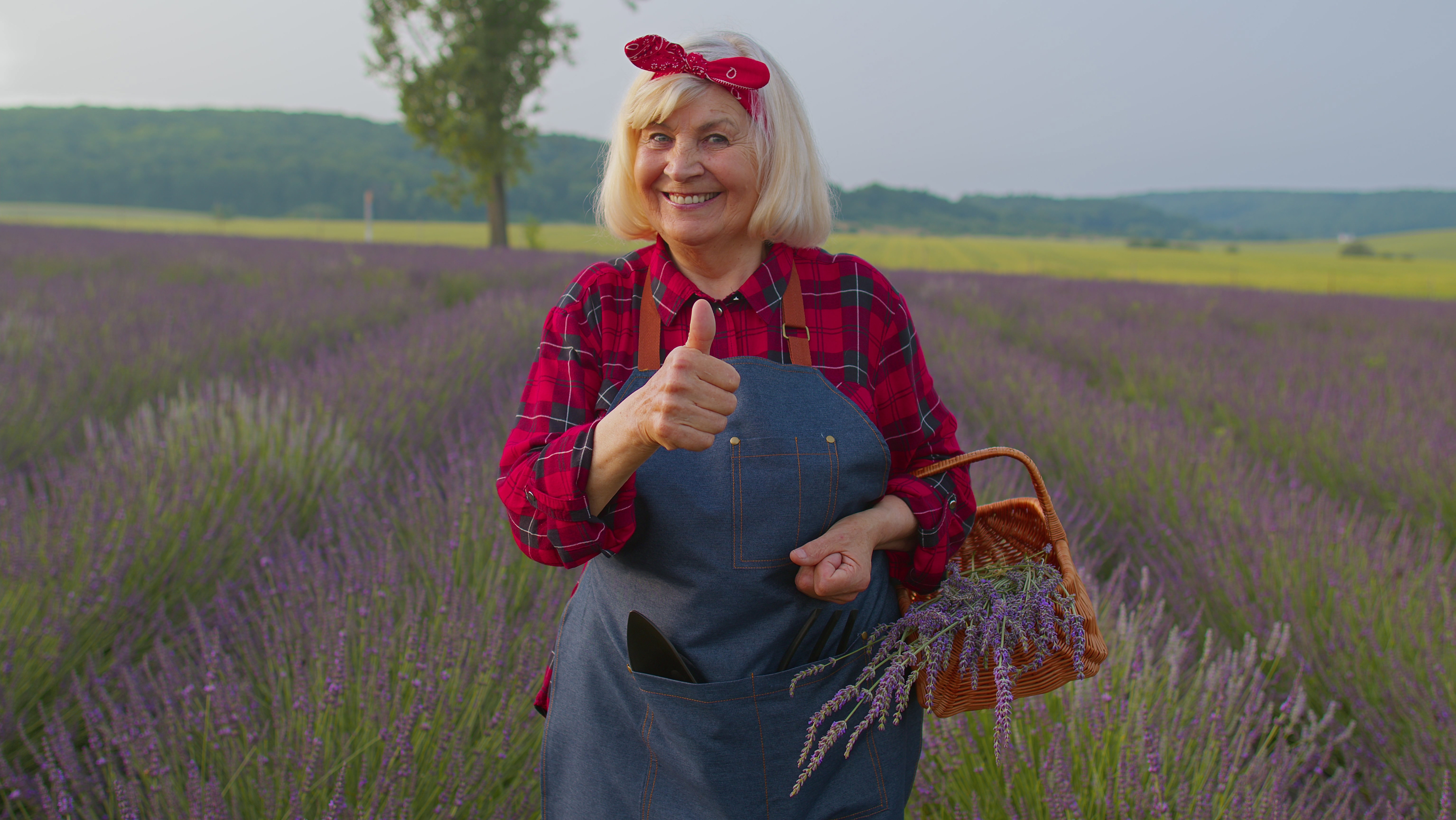 Rytuał Anielskiej Lawendy na pomnożenie gotówki. W 3 minuty zapewnisz sobie bogactwo
