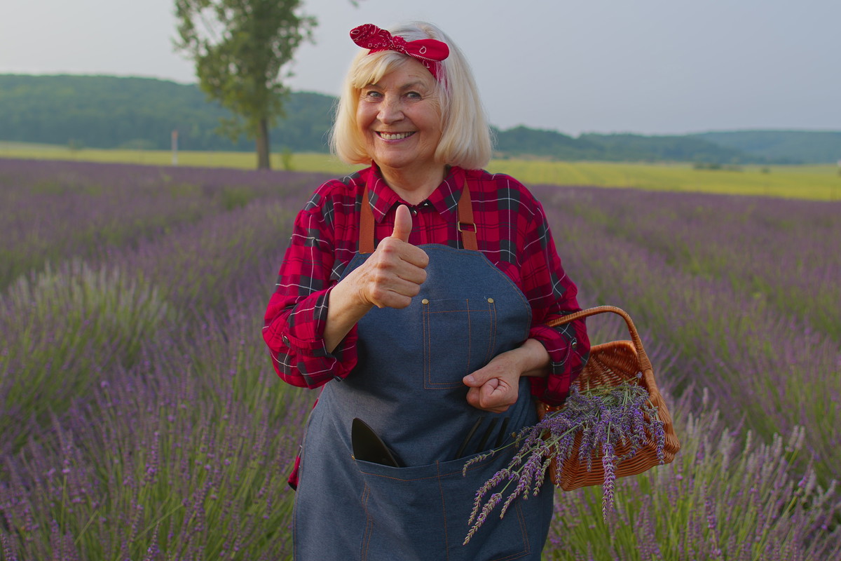 Rytuał Anielskiej Lawendy na pomnożenie gotówki. W 3 minuty zapewnisz sobie bogactwo