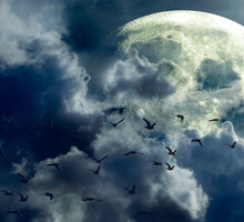 horoskop księżycowy