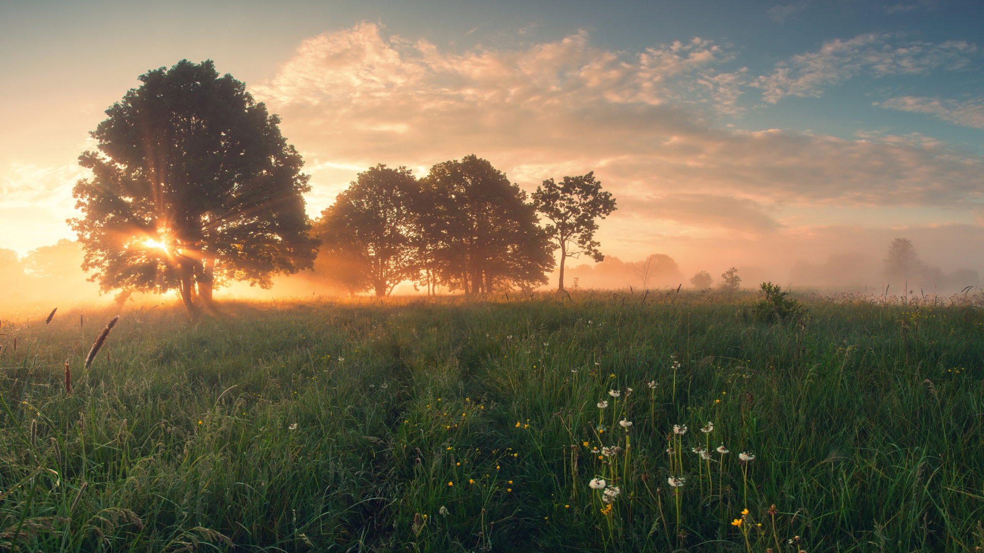 To wydarzy się 1 września o poranku. Koniecznie spójrz wtedy w niebo