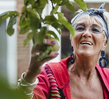 Gałązka jabłoni w szafce na buty przyciągnie pieniądze i miłość. Masz czas tylko do końca sierpnia