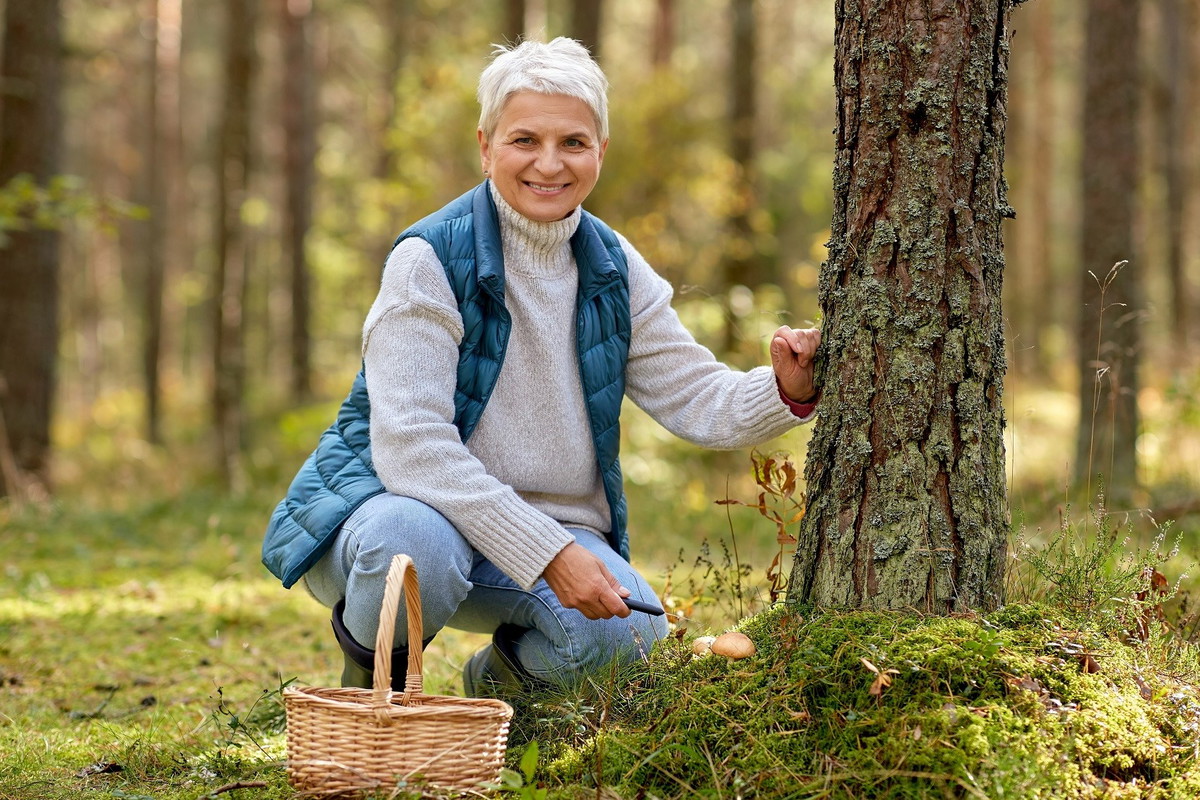 Przesąd na 11 sierpnia – ten leśny skarb przyniesie ci fortunę. Zwróć uwagę tylko na 1 szczegół