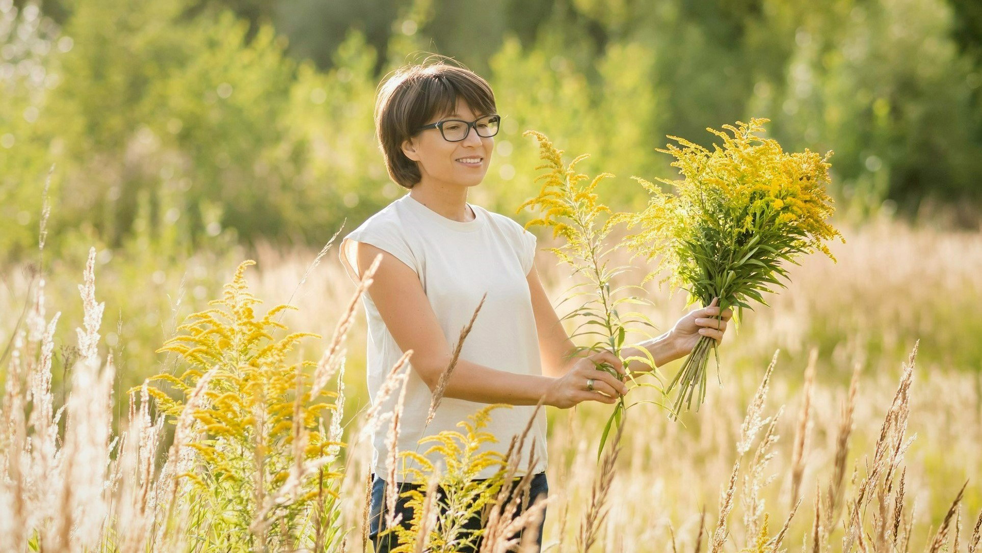 Polska mimoza ochroni przed zawiścią i złym okiem. Trzymaj ją w tym 1 miejscu