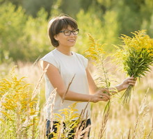 Polska mimoza ochroni przed zawiścią i złym okiem. Trzymaj ją w tym 1 miejscu
