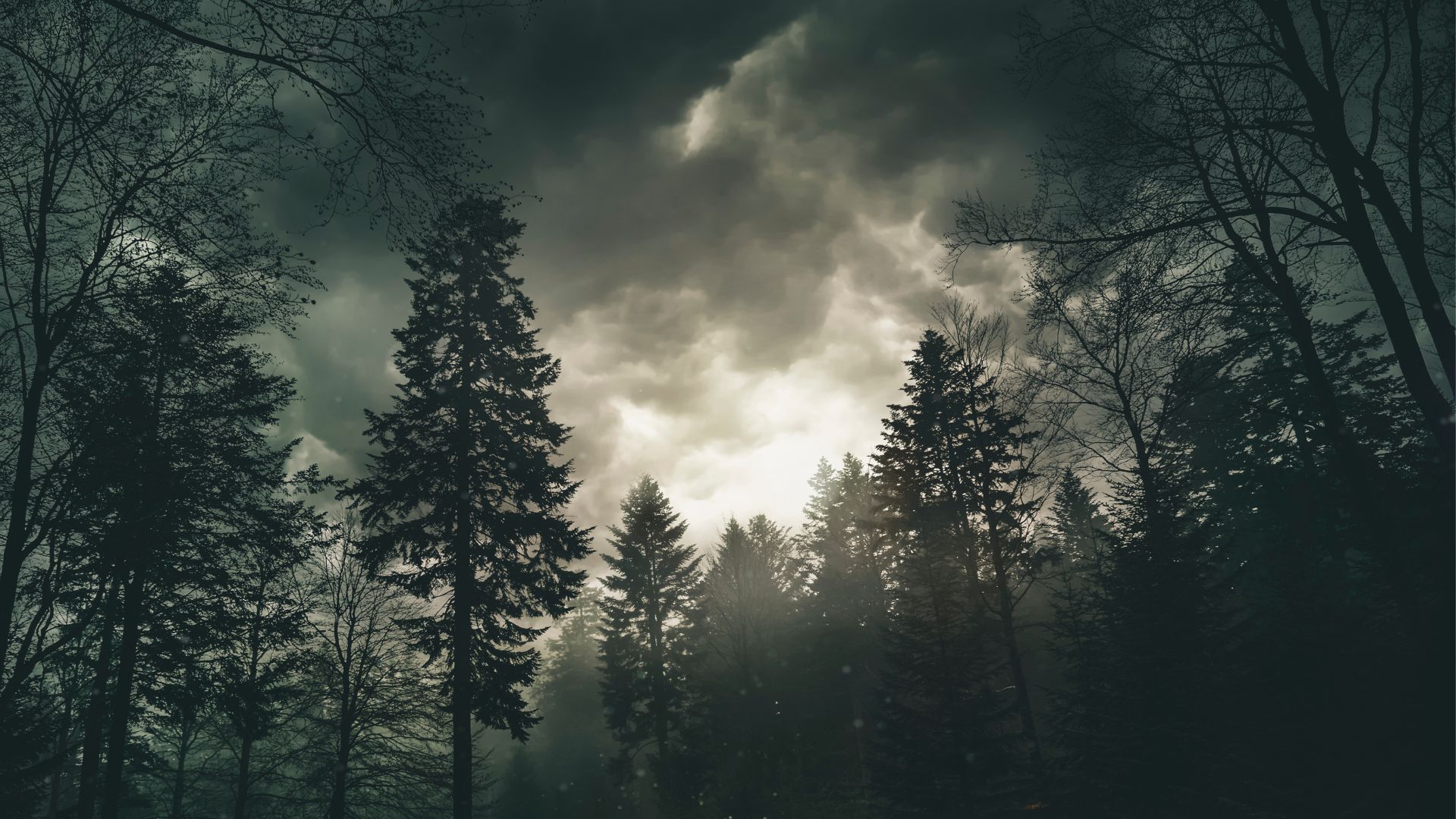 Przepowiednie Sybilli