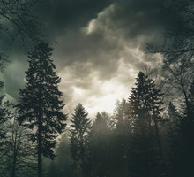 Przepowiednie Sybilli