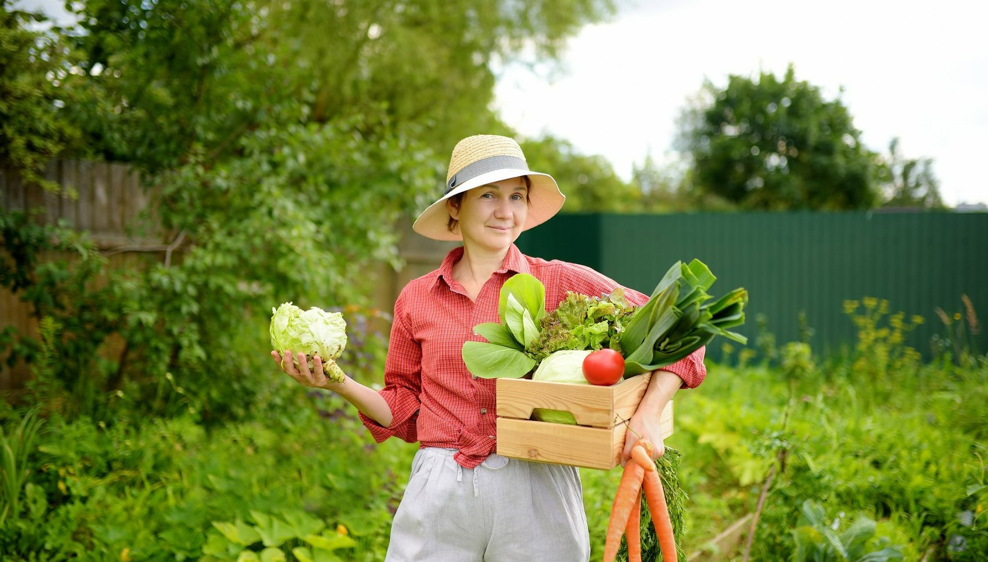 Przesąd na 9 sierpnia – to polskie warzywo przyniesie bogactwo. Uważaj tylko na 1 haczyk