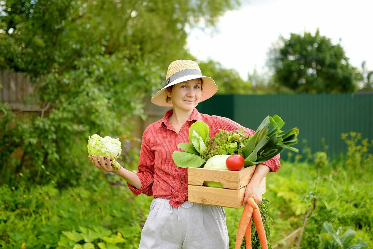 Przesąd na 9 sierpnia – to polskie warzywo przyniesie bogactwo. Uważaj tylko na 1 haczyk