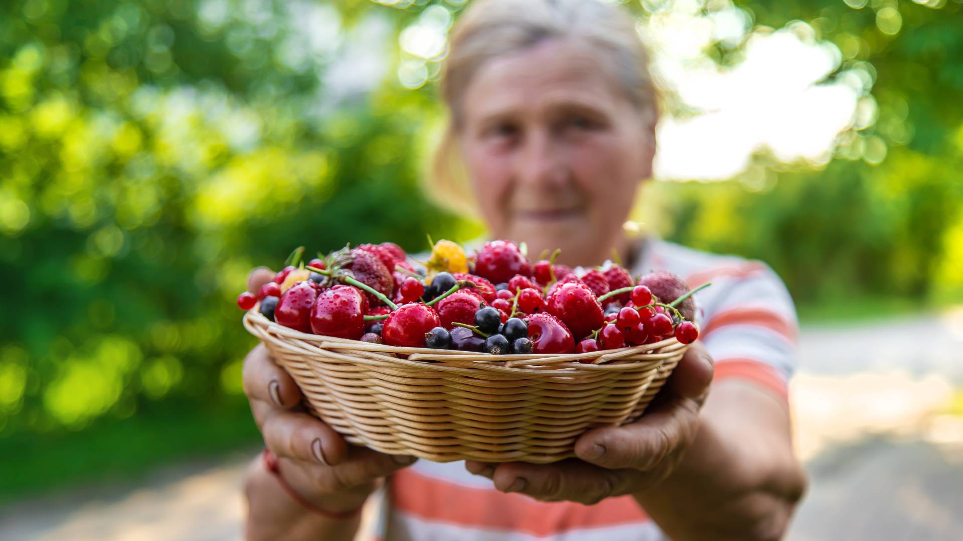Czerwona porzeczka zapewnia bogactwo i przynosi szczęście. Ale jest 1 haczyk