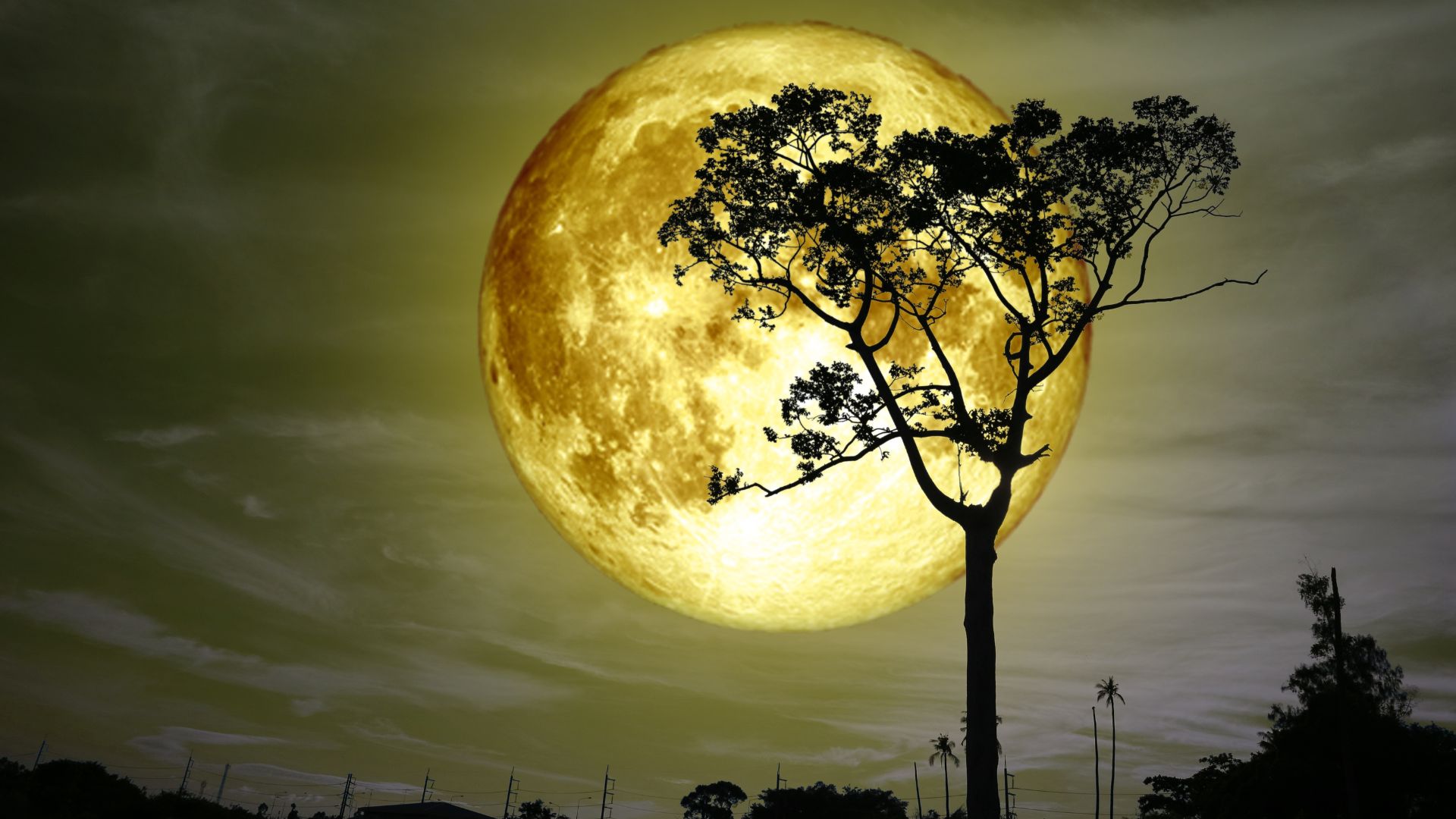 żółty księżyc