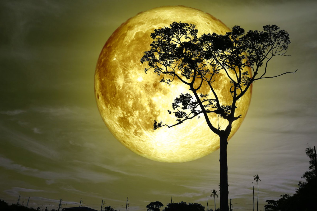 żółty księżyc