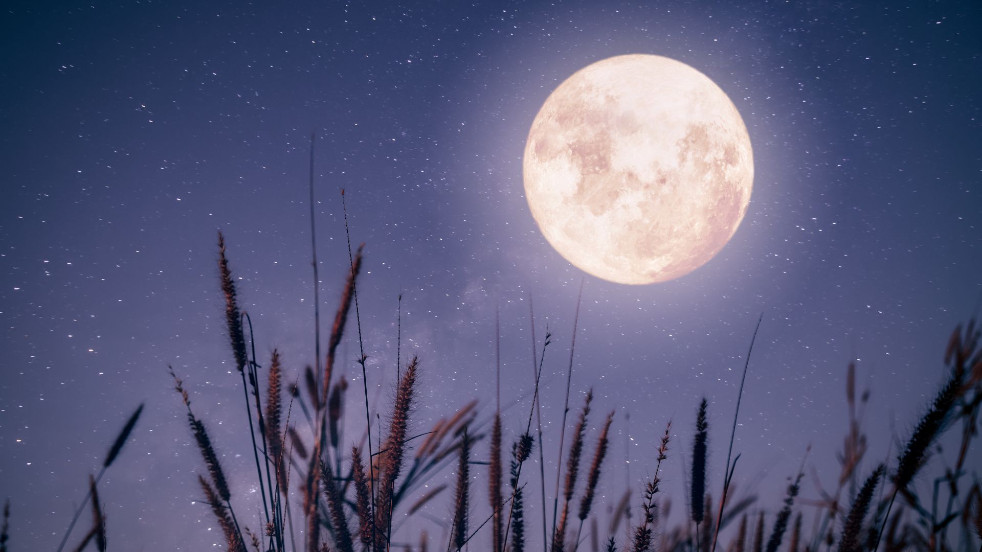 pełnia księżyca sierpień