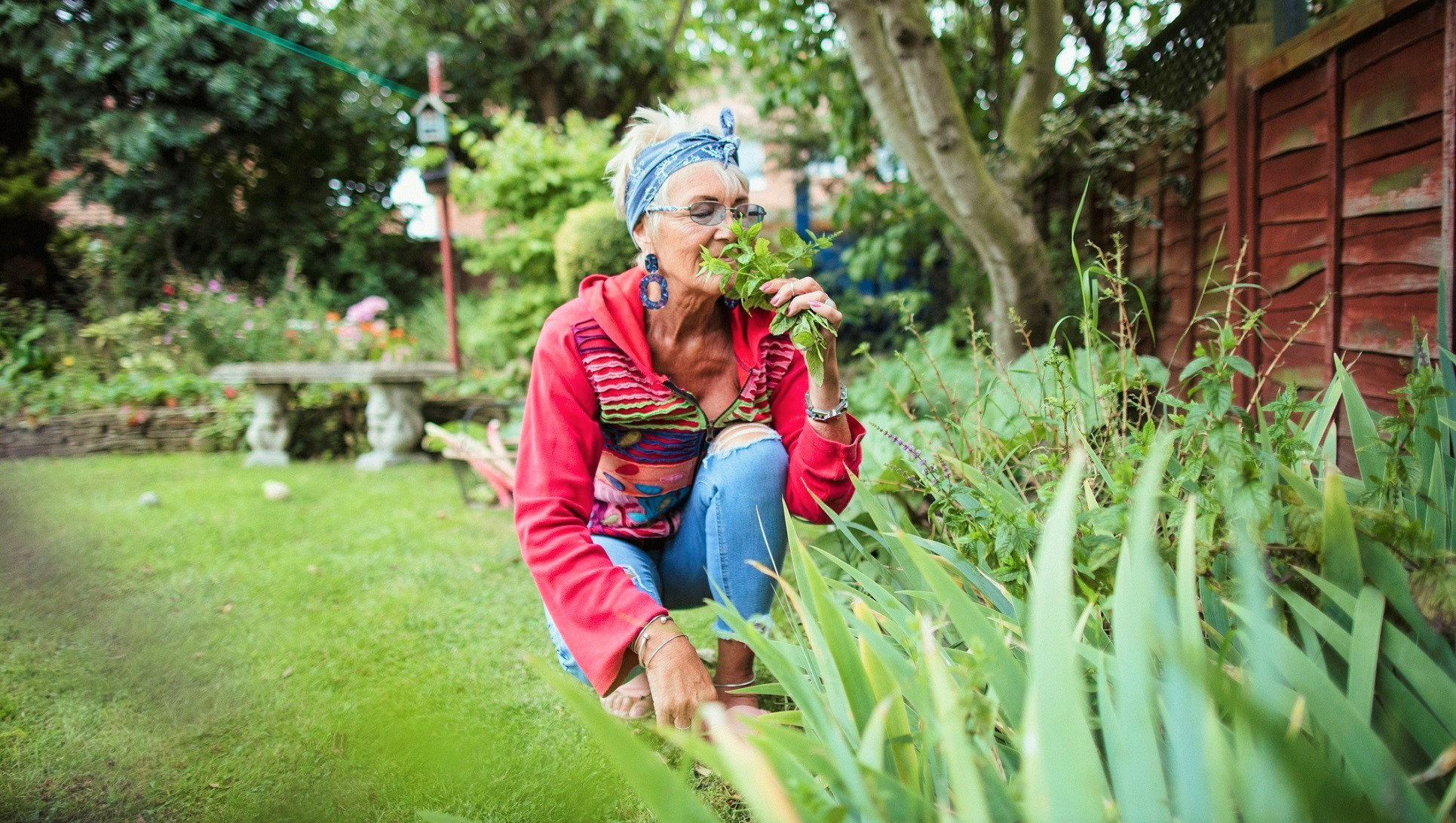 Dodaj ten 1 składnik do napoju, a przyciągniesz pieniądze. Stosowały go już nasze babcie