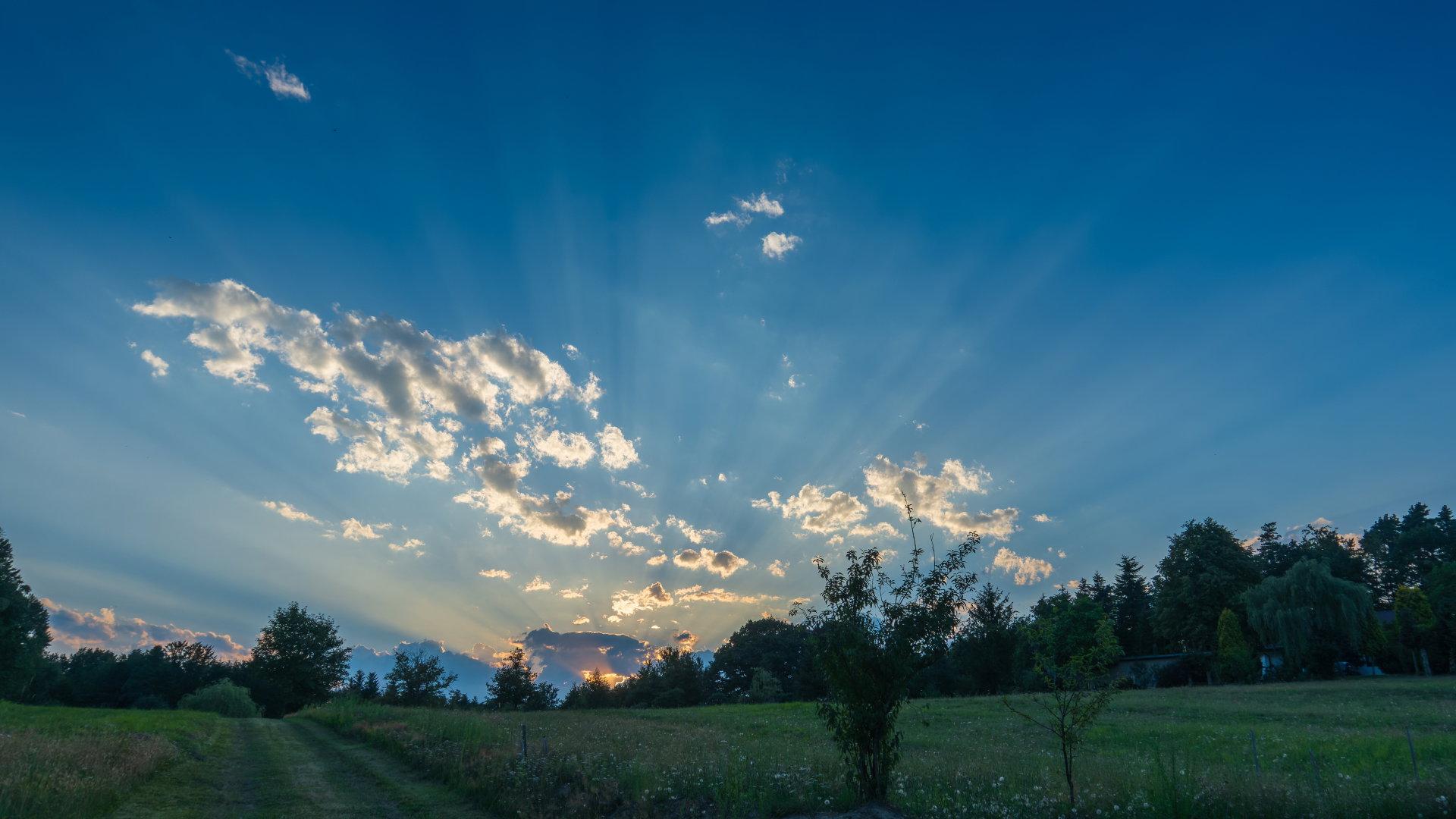 Angelologia: anioł sierpnia pomoże ci pozbyć się wszelkich trosk. Pamiętaj, działa tylko pod 1 warunkiem