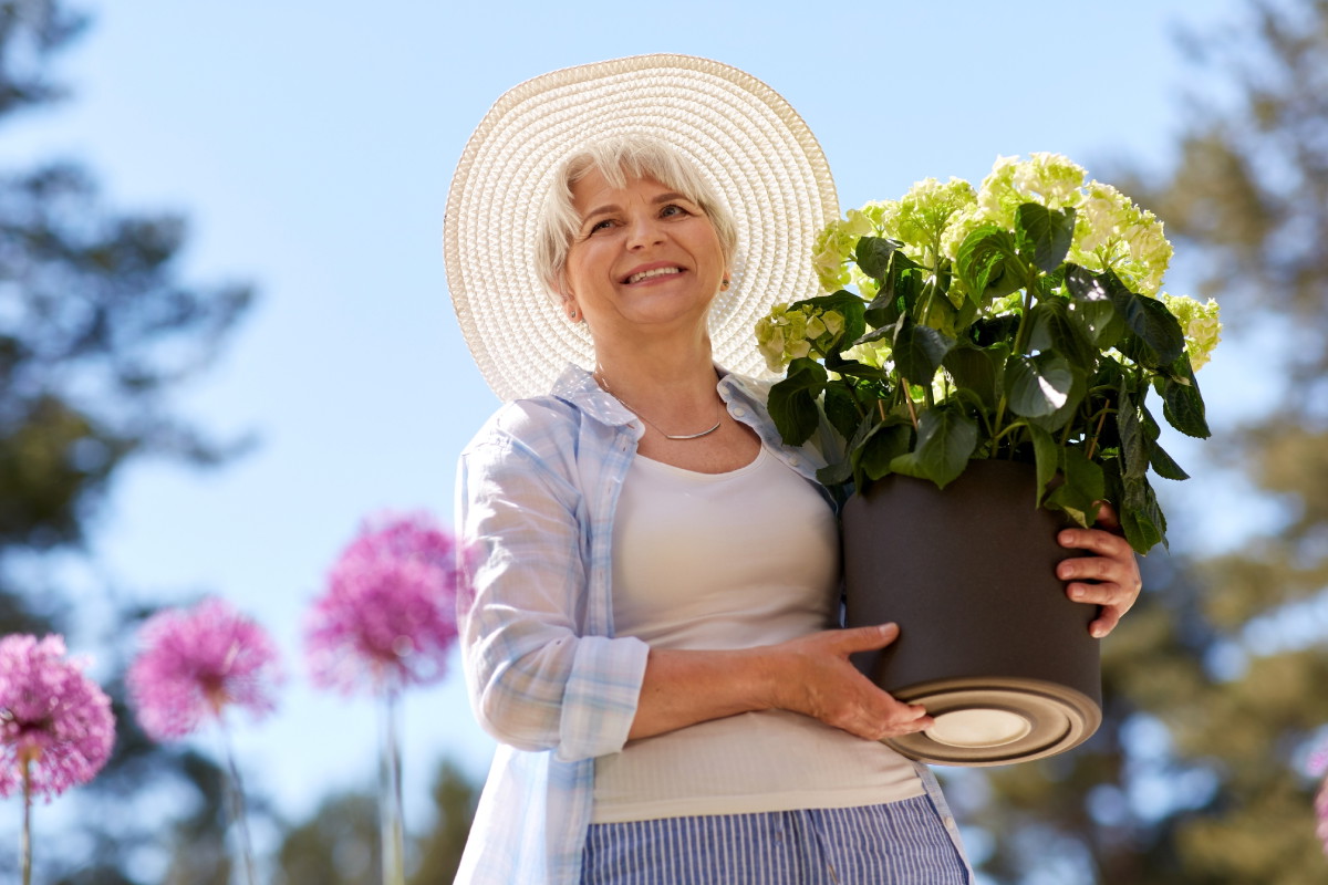 Podlaska szeptunka zdradza, że ta roślina ukoi twoje serce