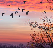 Kolor aury na październik 2024