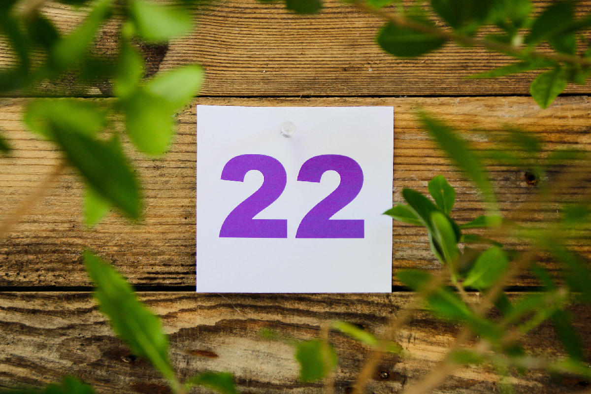 Numerologiczna 22