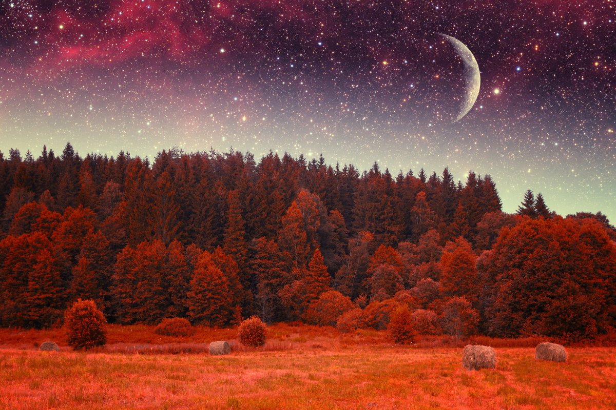 Zrób 1 rzecz do 10 października 2024