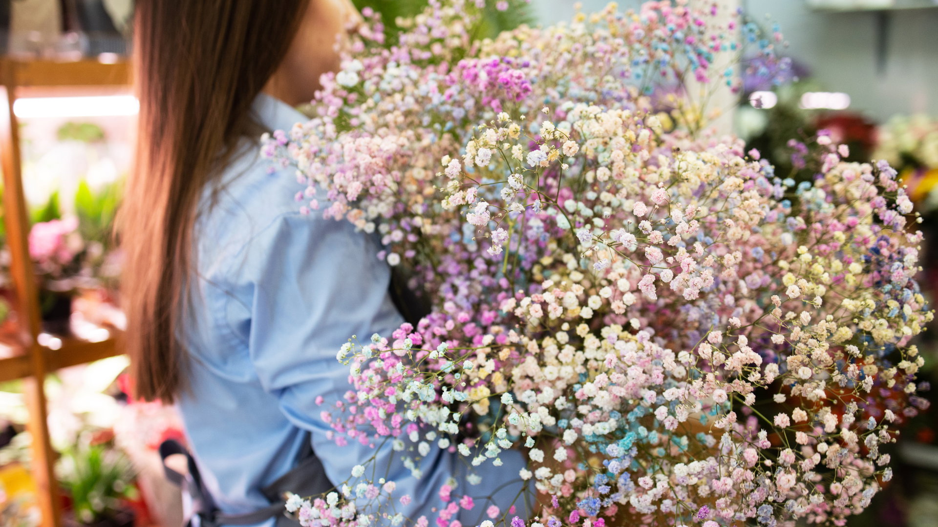 Gipsówka na pieniądze i miłość. Ta roślina zapewni ci szczęście, ale pod 1 warunkiem