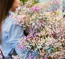 Gipsówka na pieniądze i miłość. Ta roślina zapewni ci szczęście, ale pod 1 warunkiem