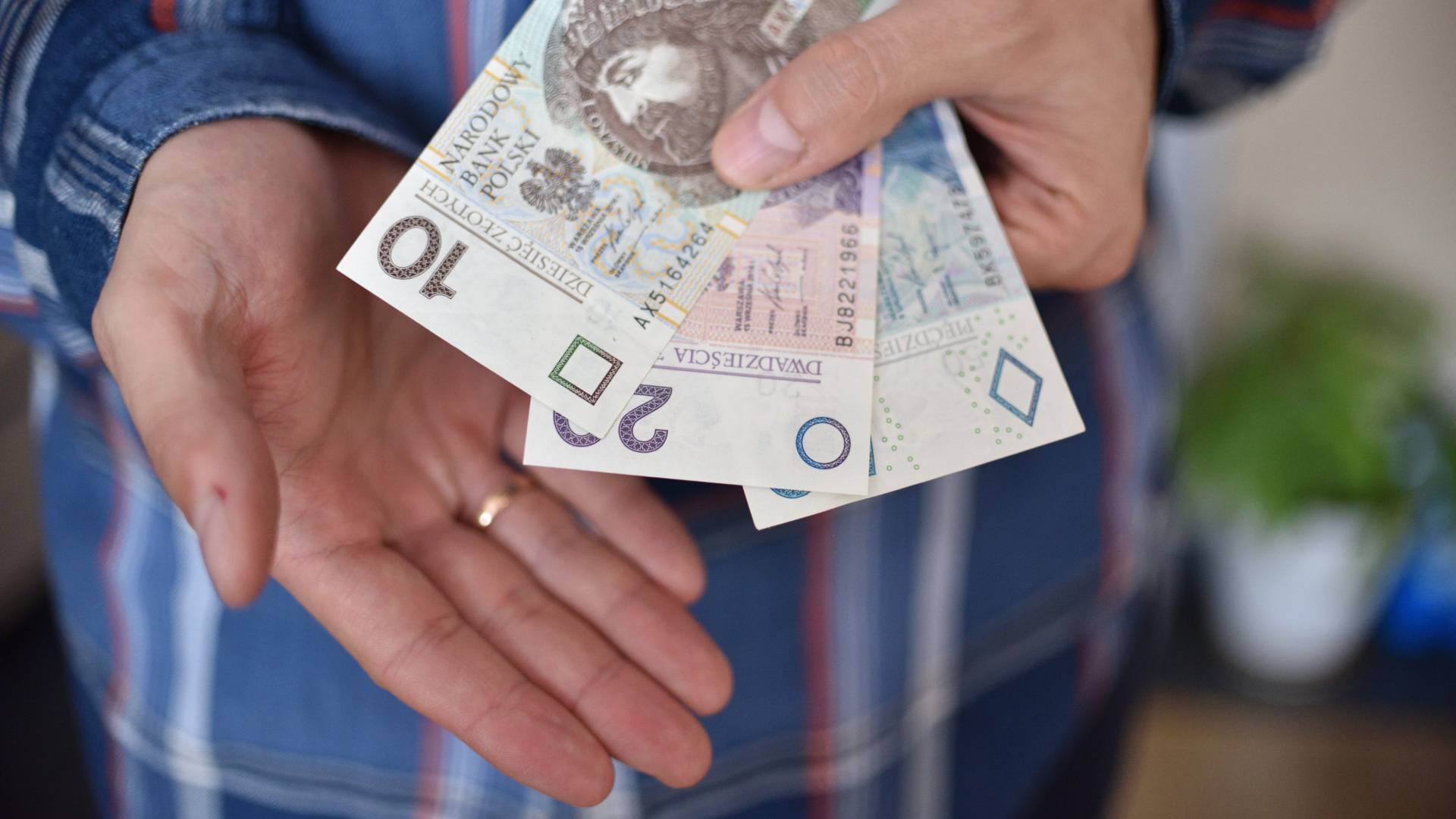 Mazurski patent na pieniądze napełni twój portfel. Wszystkie 3 składniki znajdziesz w lesie