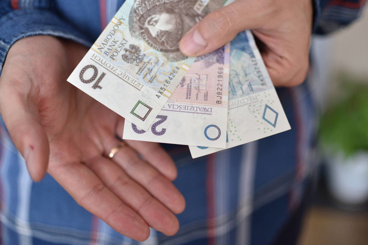 Mazurski patent na pieniądze napełni twój portfel. Wszystkie 3 składniki znajdziesz w lesie