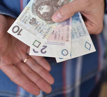 Mazurski patent na pieniądze napełni twój portfel. Wszystkie 3 składniki znajdziesz w lesie