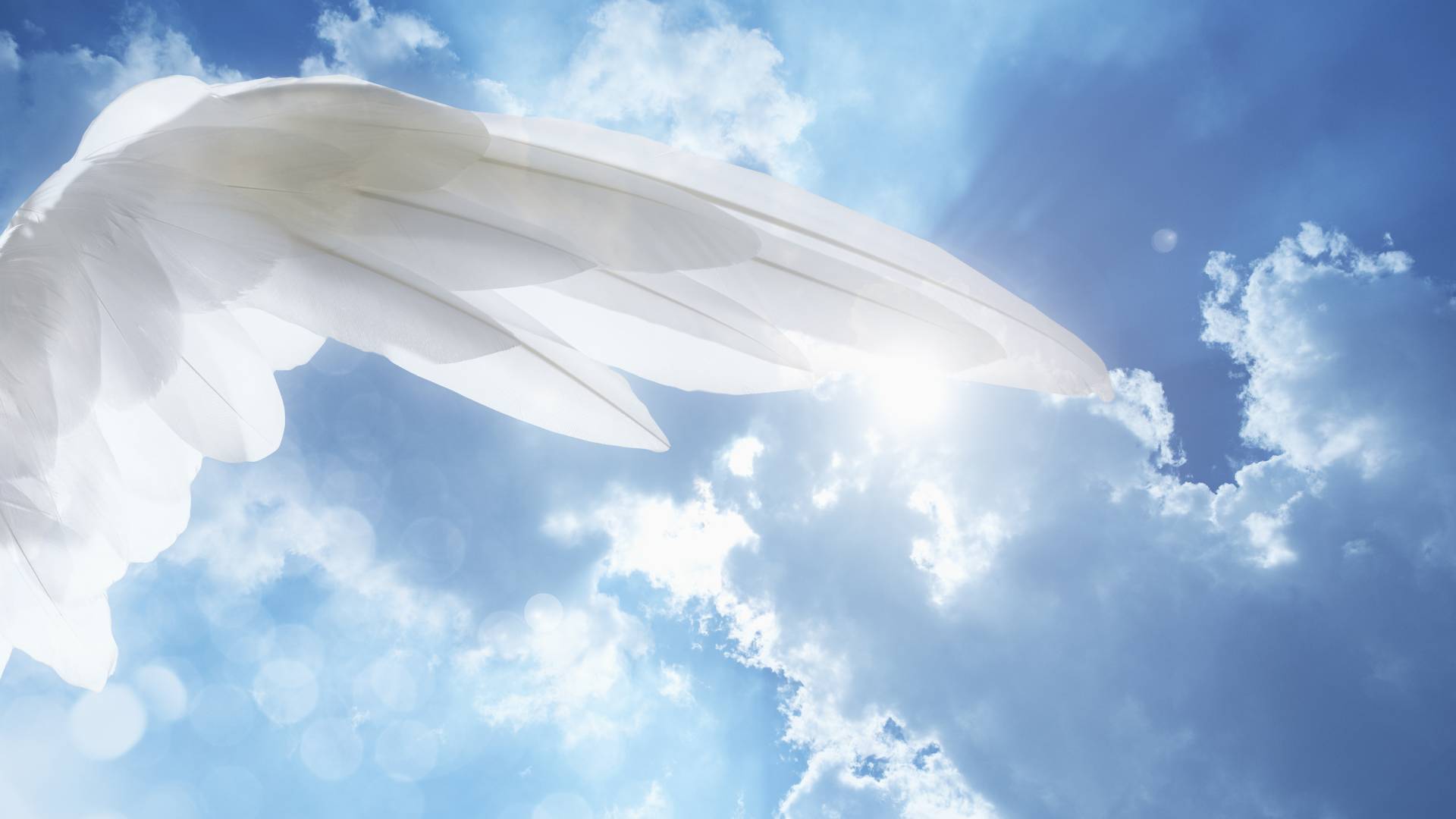 Wskazano 3 znaki zodiaku, które w sierpniu 2023 dotknie ręka anioła. Spełni się ich największe marzenie