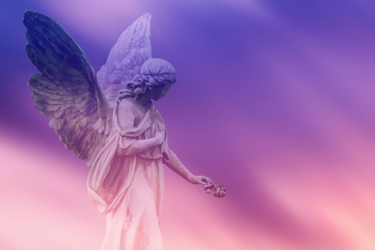 Proroctwo anielskie na 11listopada 2024