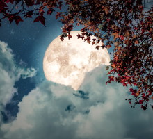 Tygodniowa prognoza astrologiczna 14-20 października 2024