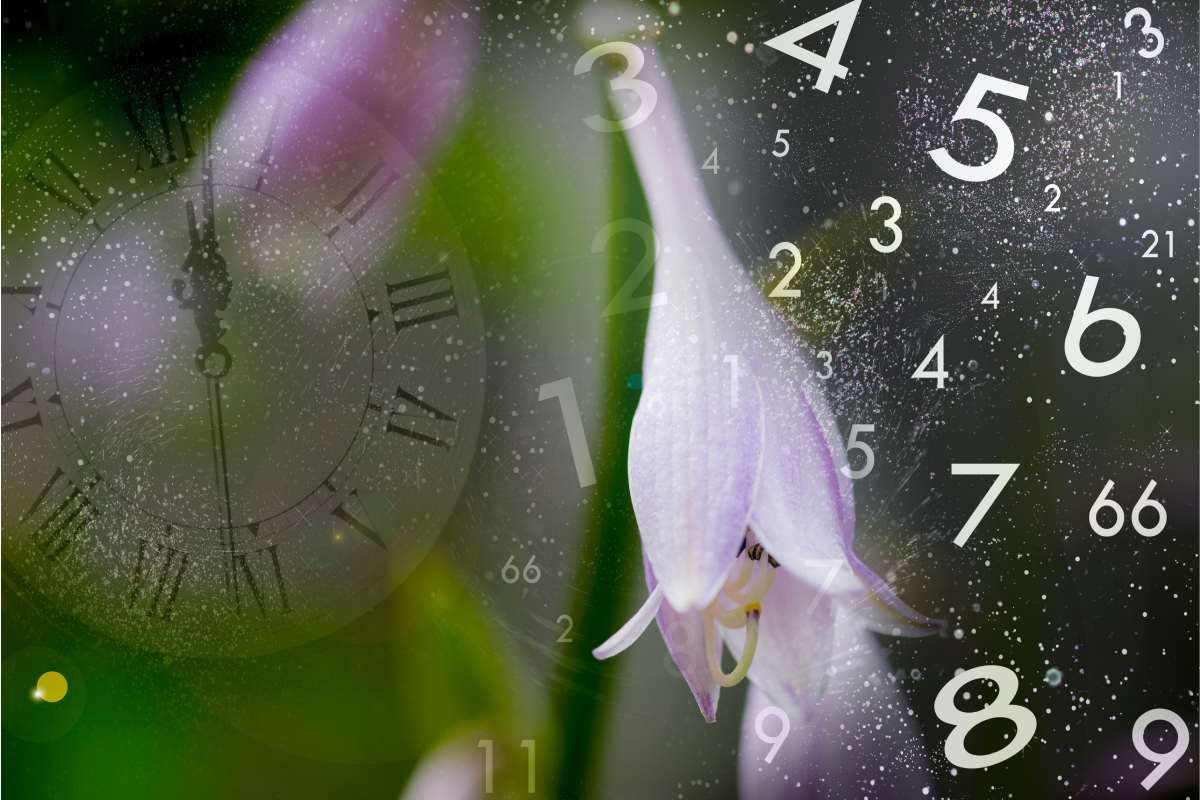 Cykle ewolucyjne w numerologii