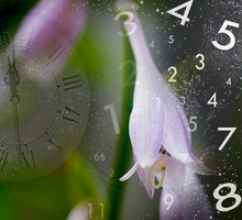 Cykle ewolucyjne w numerologii