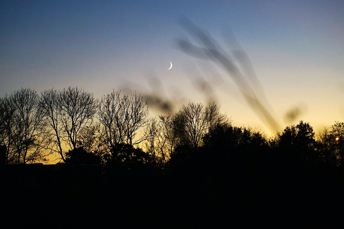 Tygodniowa prognoza astrologiczna 28 października-3 listopada 2024