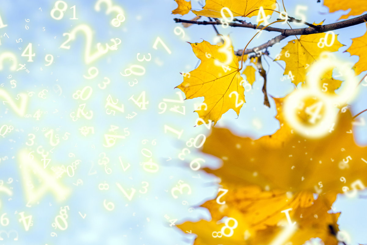 numerologia tygodniowa