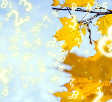 numerologia tygodniowa