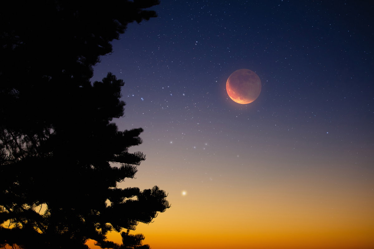 Tygodniowa prognoza astrologiczna 4-10 listopada 2024