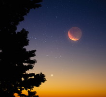 Tygodniowa prognoza astrologiczna 4-10 listopada 2024