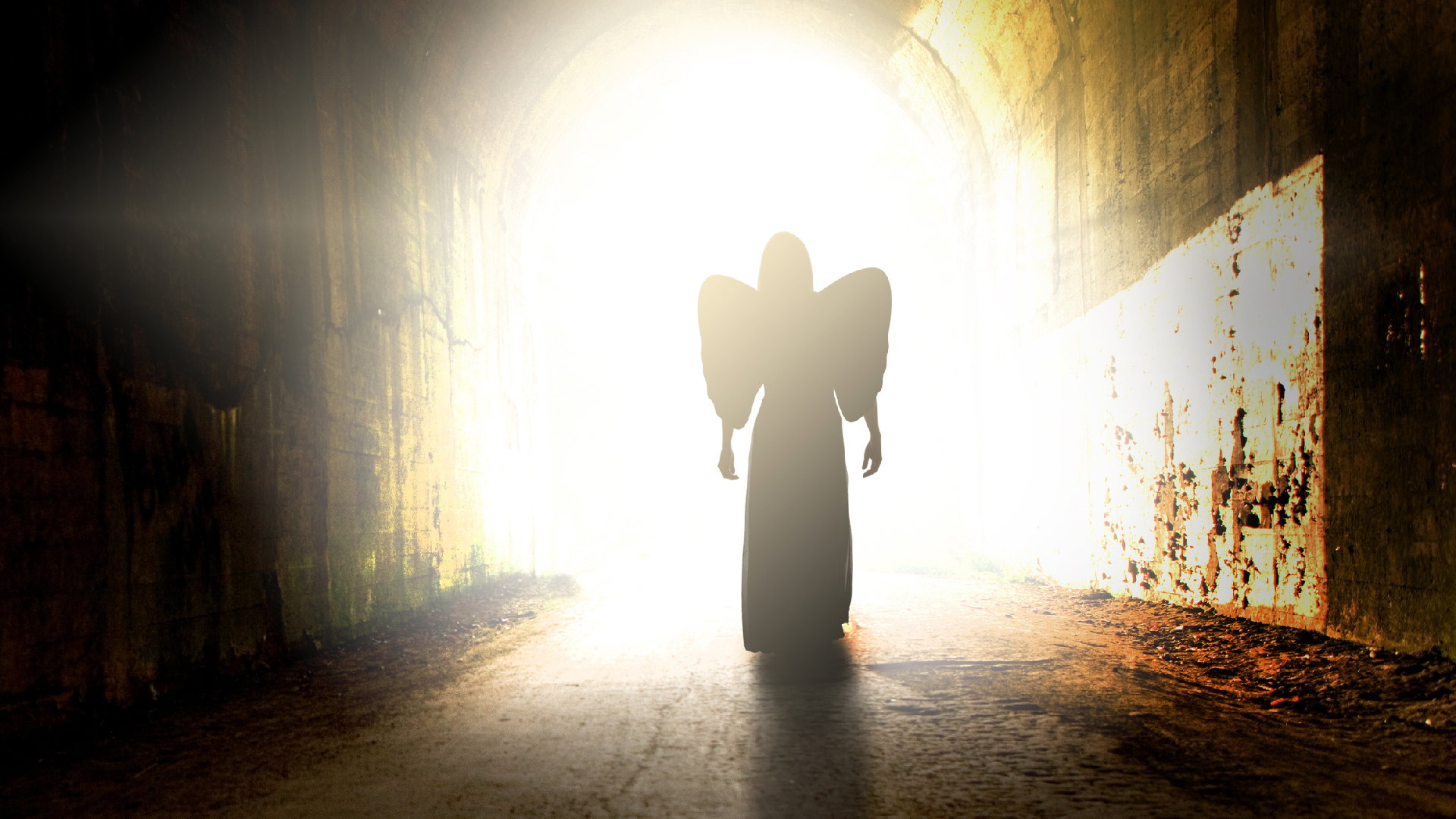 Przepowiednia dla Polski: proroctwo ks. Markiewicza. Skontaktował się z nim Anioł Stróż