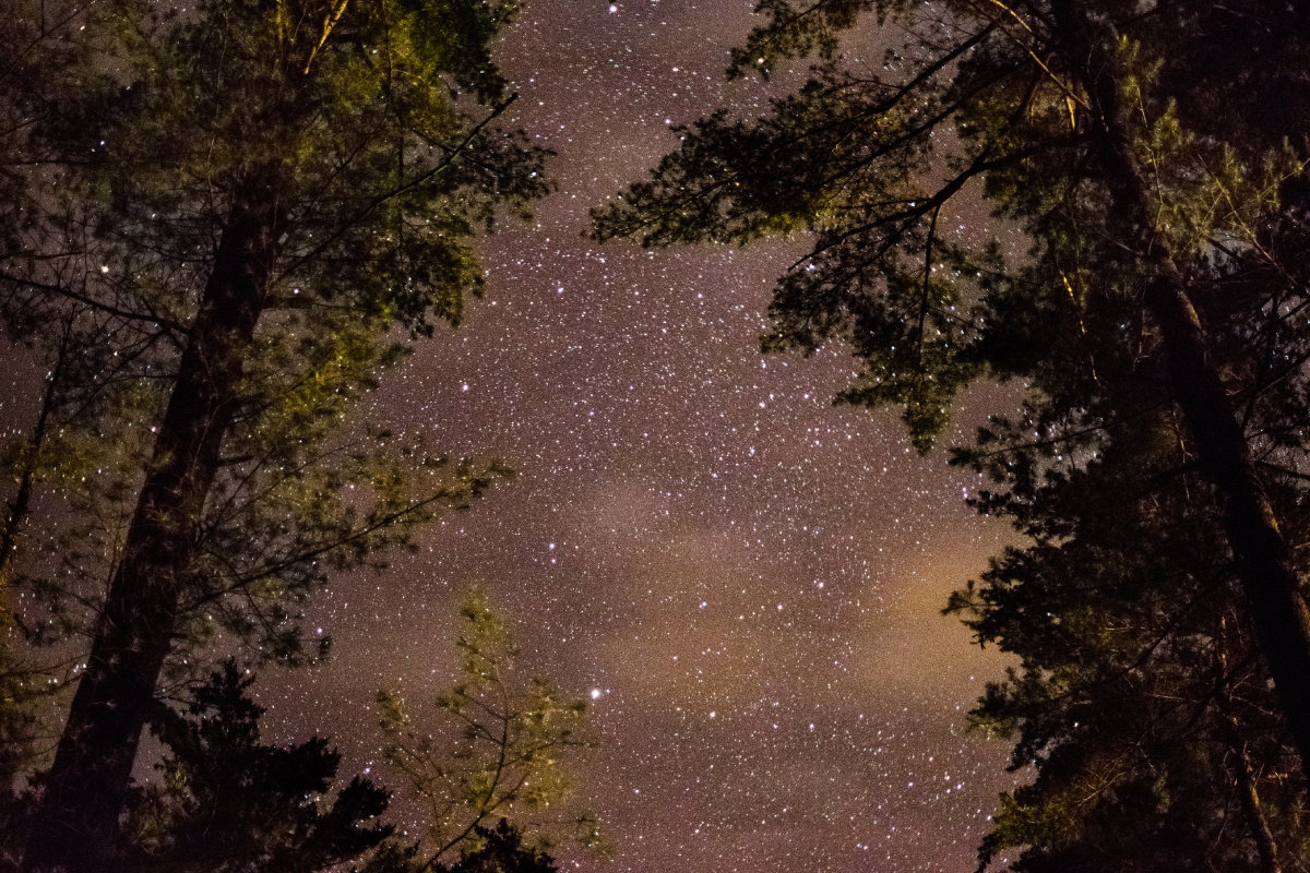 15-17 listopada 2024 Uran zdominuje twoje życie