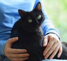 Rytuał na Dzień Czarnego Kota