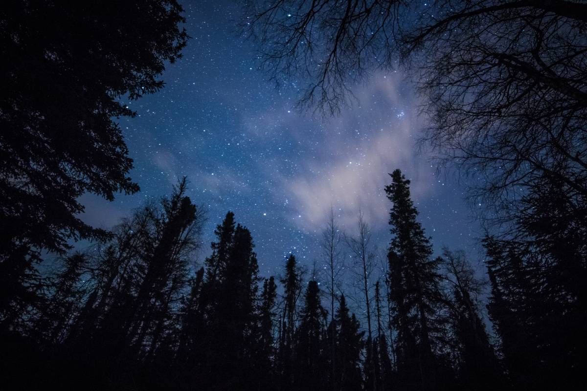 Tygodniowa prognoza astrologiczna 2-8 grudnia 2024