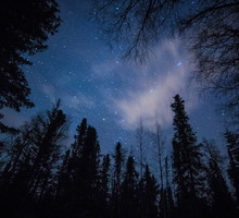 Tygodniowa prognoza astrologiczna 2-8 grudnia 2024