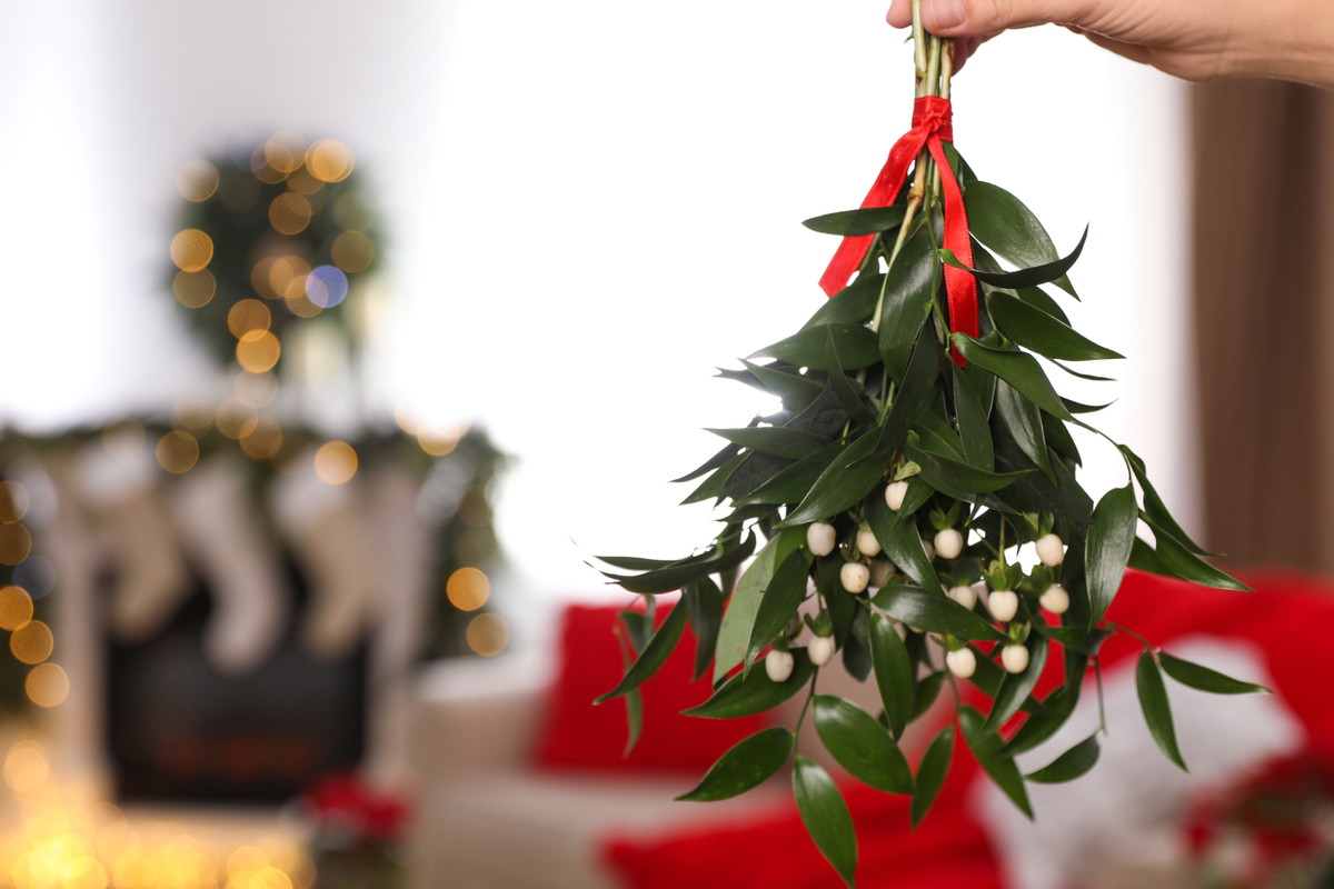 Zrób to do wigilii na szczęście w 2024 roku