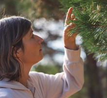 Sosna ma magiczne właściwości. Chroni przed chorobami, złem i oczyszcza umysł