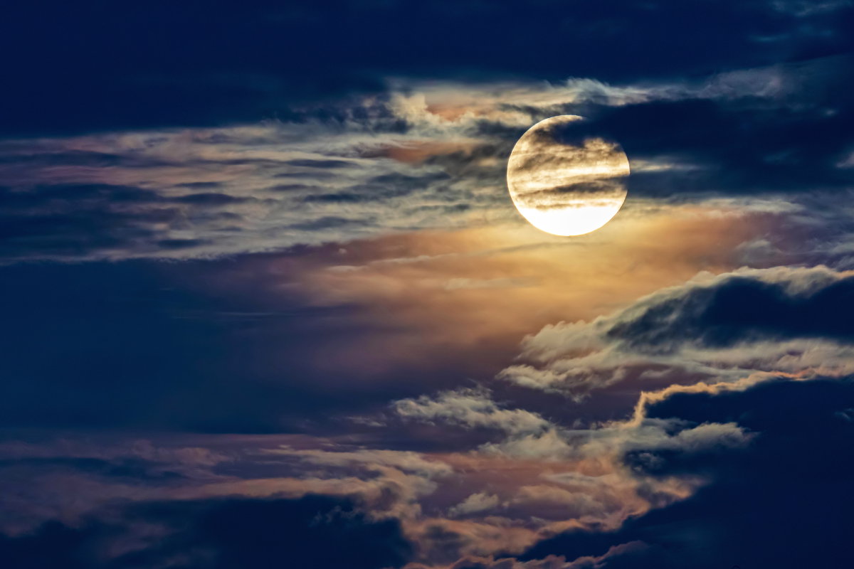 Zrób 1 rzecz do 15 listopada 2024