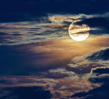 Zrób 1 rzecz do 15 listopada 2024