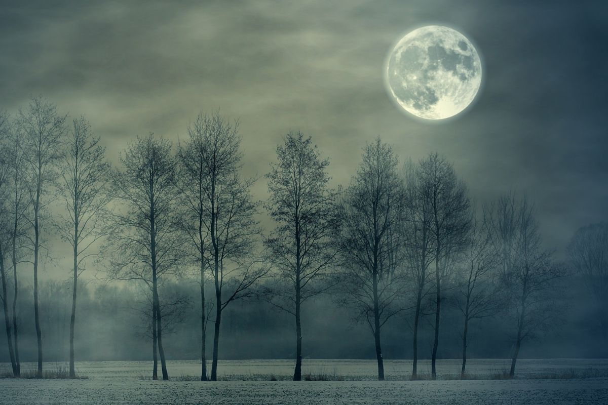 13 grudnia Księżyc wchodzi w znak Bliźniąt